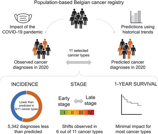 Cancer incidence, stage shift and survival during 2020 [Peacock et al. 2024]